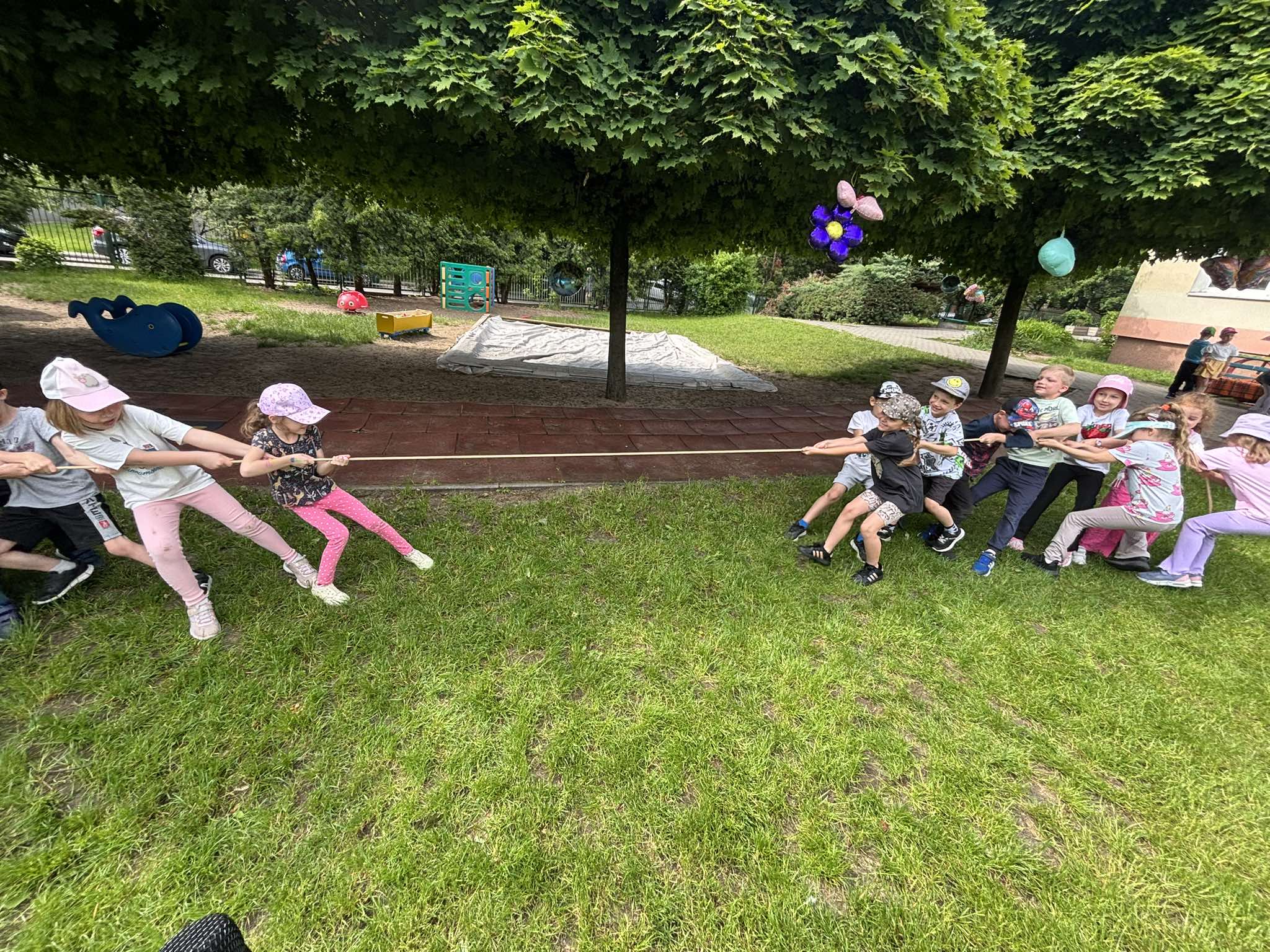 501077716 740754345044544 2790913683973684447 N